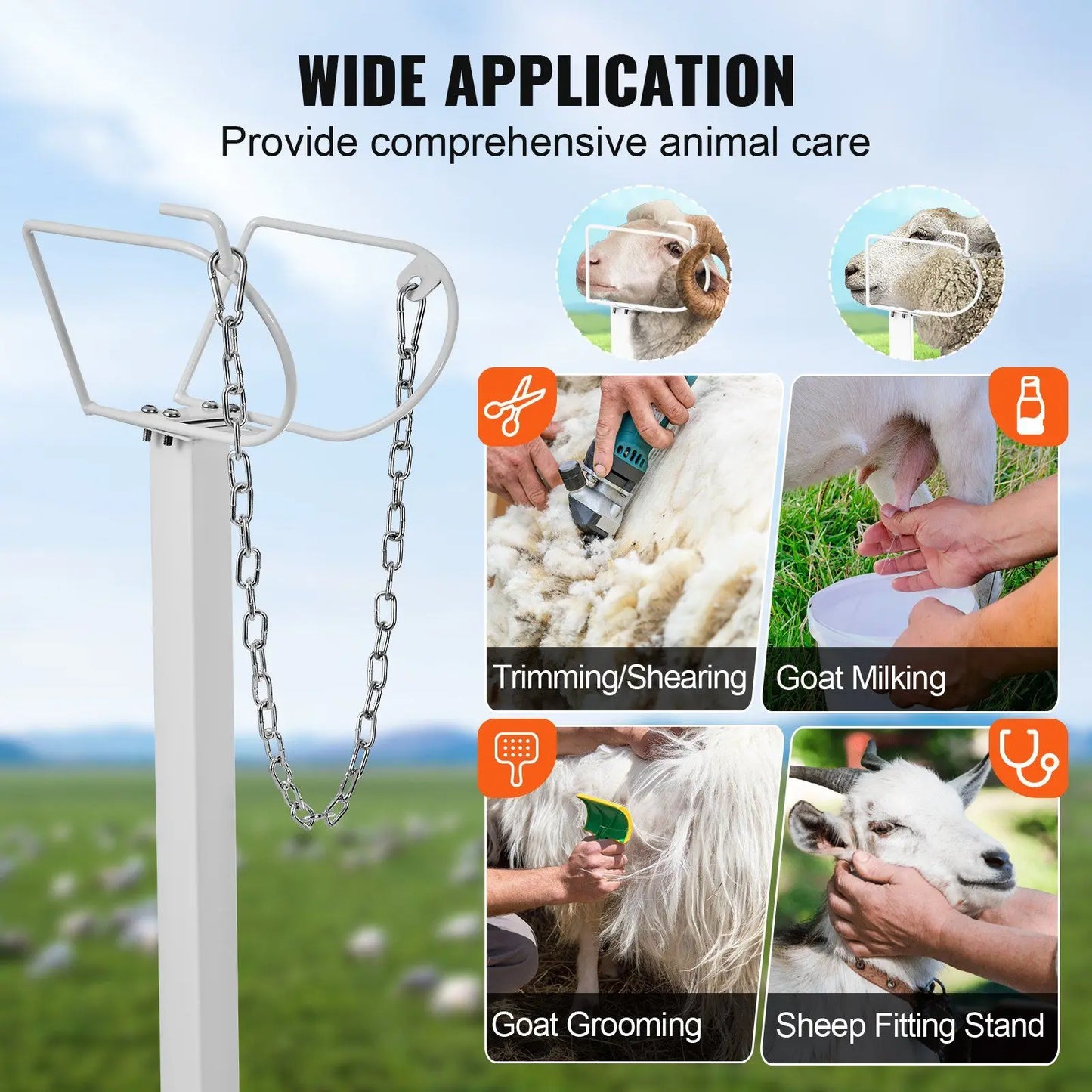 Goat And Sheep Livestock Milking Shearing Stand Adjustable Height Metal
