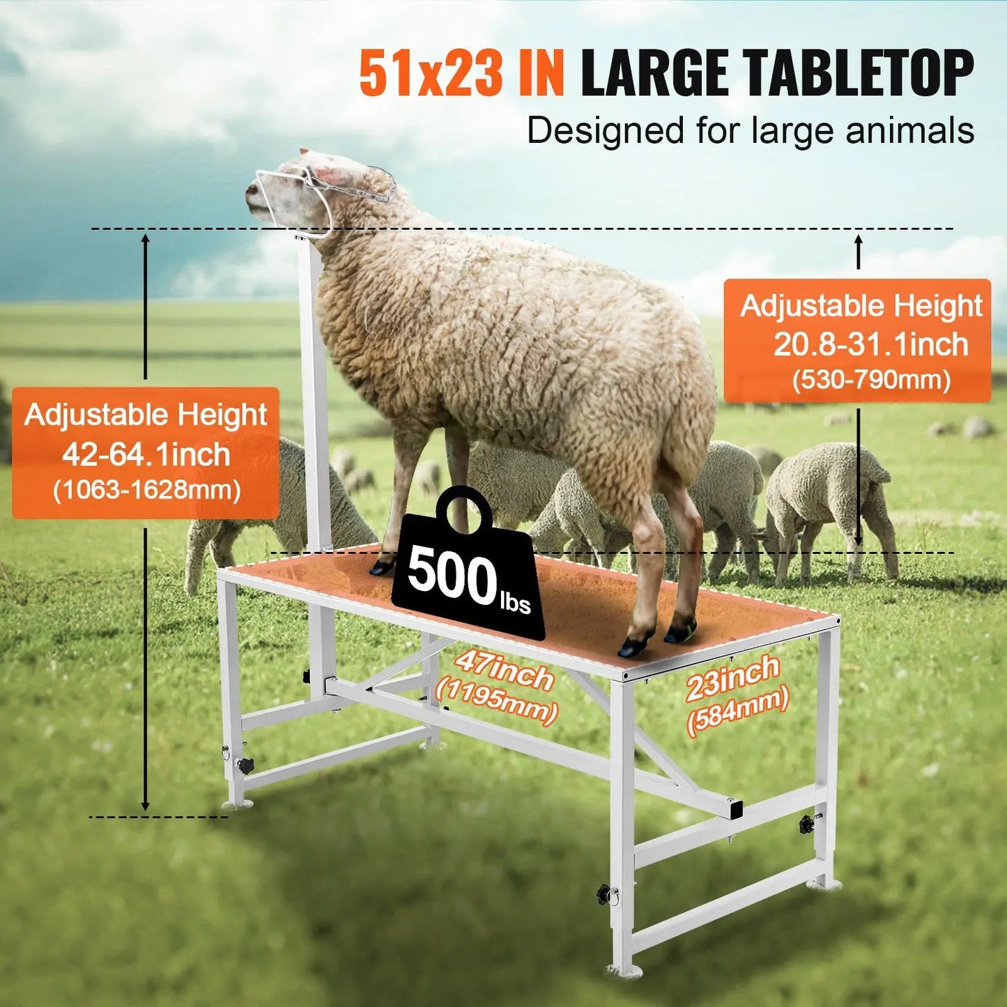 Goat And Sheep Livestock Milking Shearing Stand Adjustable Height Metal