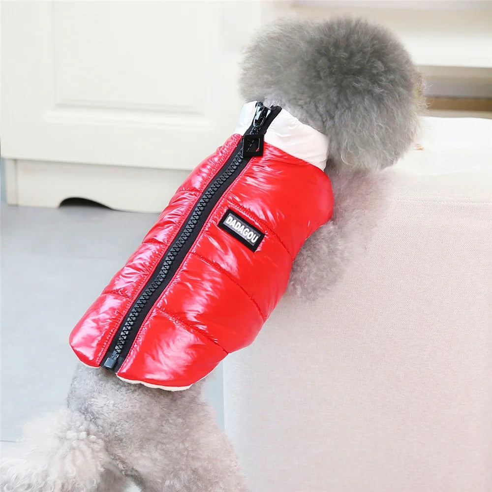 Brother Cat Dog Winter Hooded Coat For Small Dogs Apparel