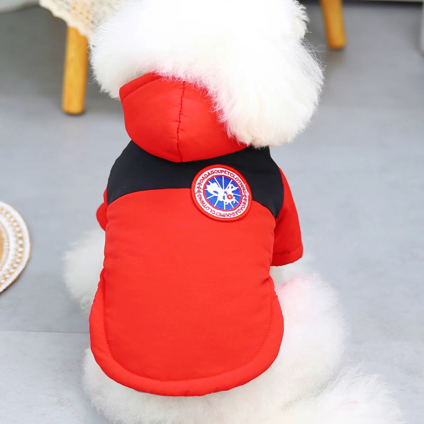 Brother Cat Dog Winter Hooded Coat For Small Dogs Apparel