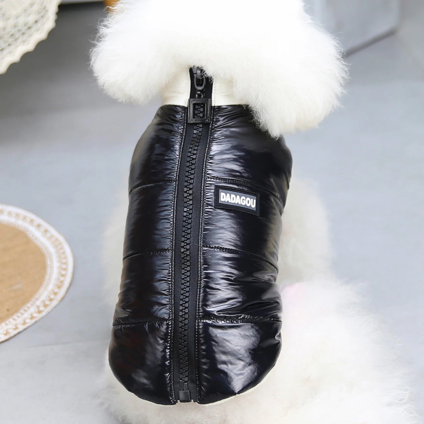 Brother Cat Dog Winter Hooded Coat For Small Dogs Apparel