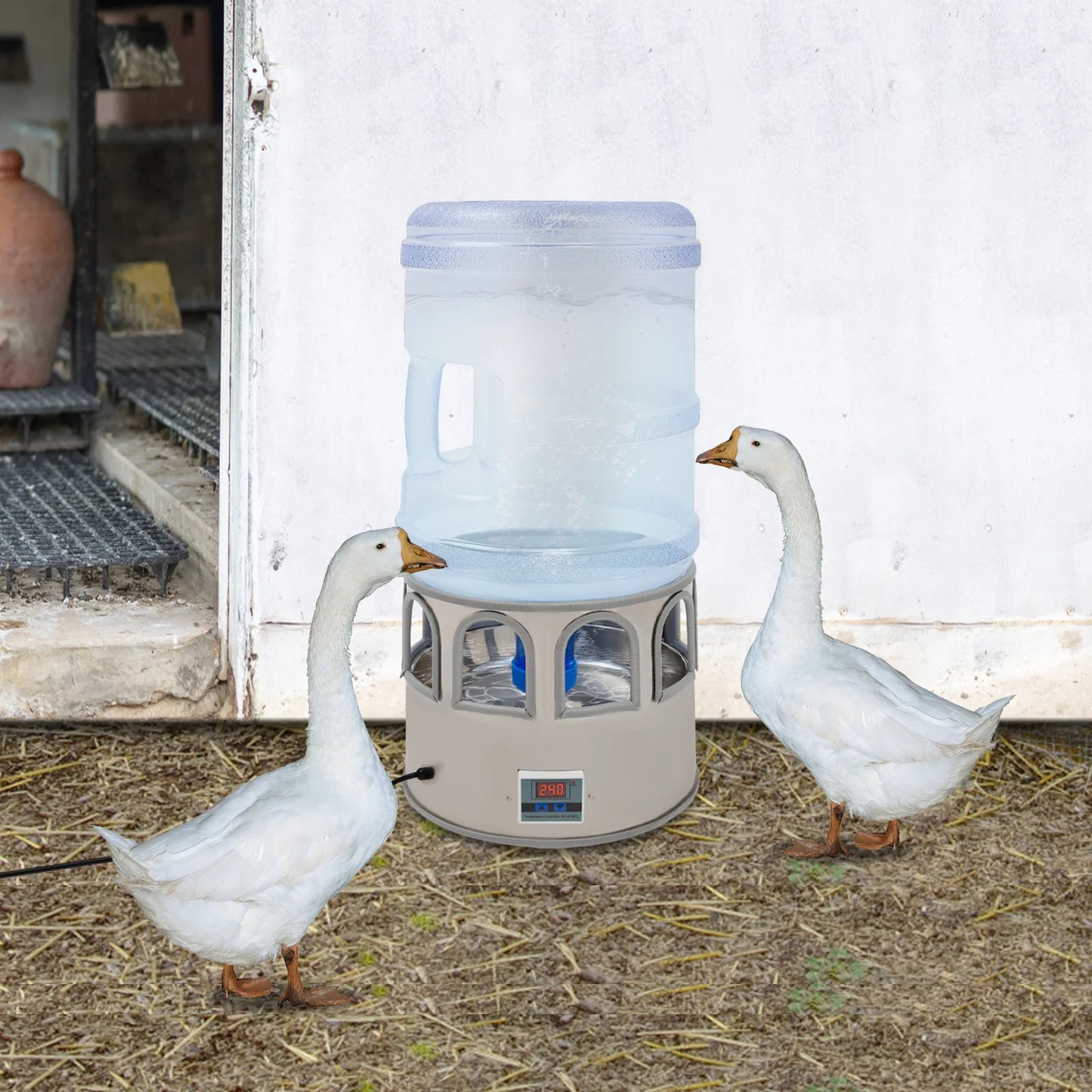 Premium Chicken Water Heater Bowl For Poultry 110V