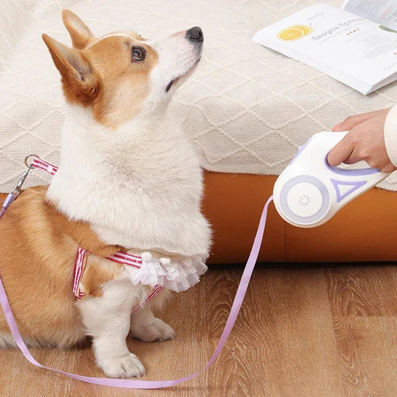 LED Luminous Retractable Dog Leash For Outdoor Pets