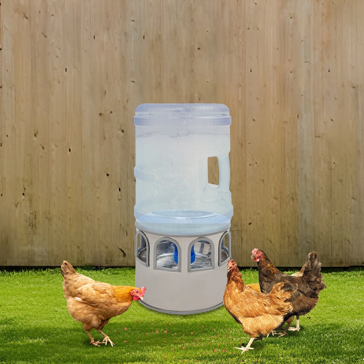 Premium Chicken Water Heater Bowl For Poultry 110V
