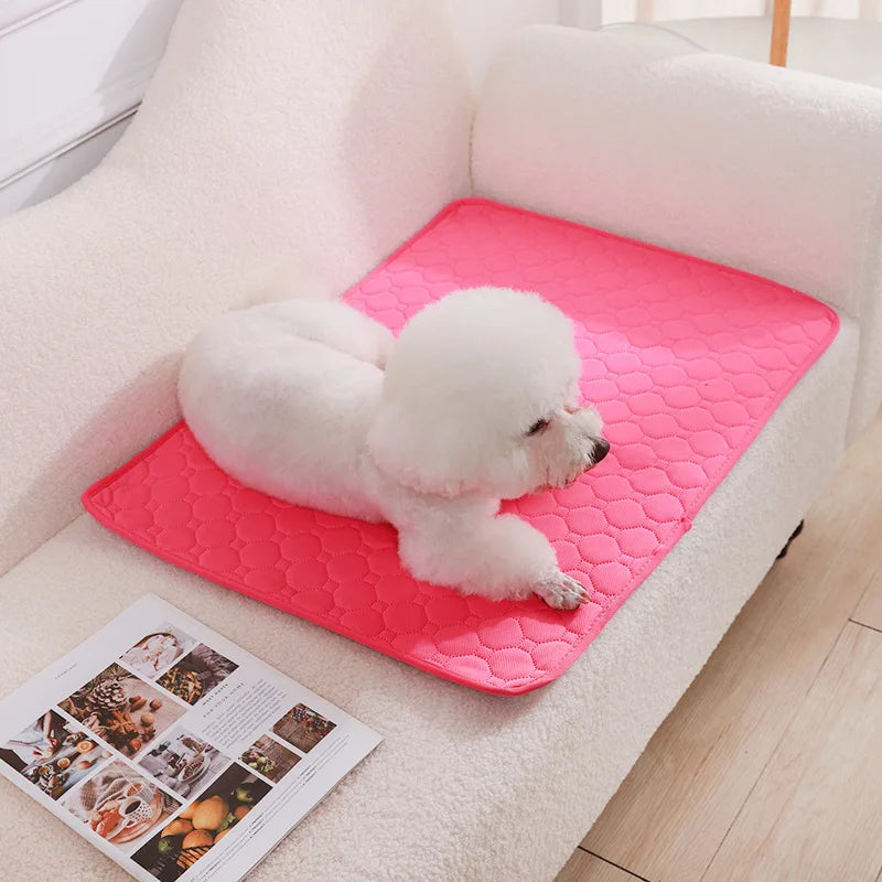 NONECN Washable Dog Pee Pad Blanket Diaper Mat For Training