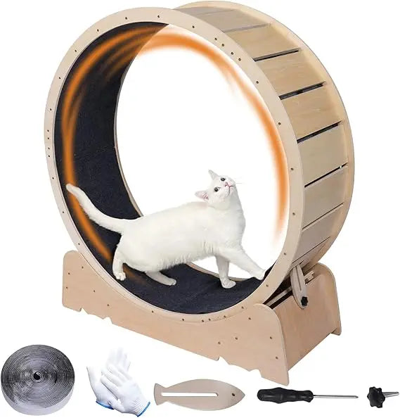 Hign-concerned Chemical Cat Exercise Wheel Indoor Fitness
