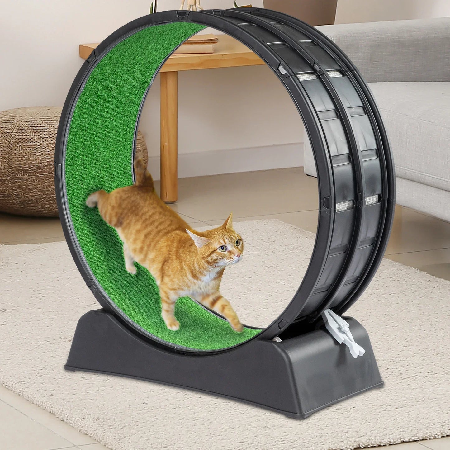 Indoor Cat Exercise Wheel Treadmill With Carpeted Runway