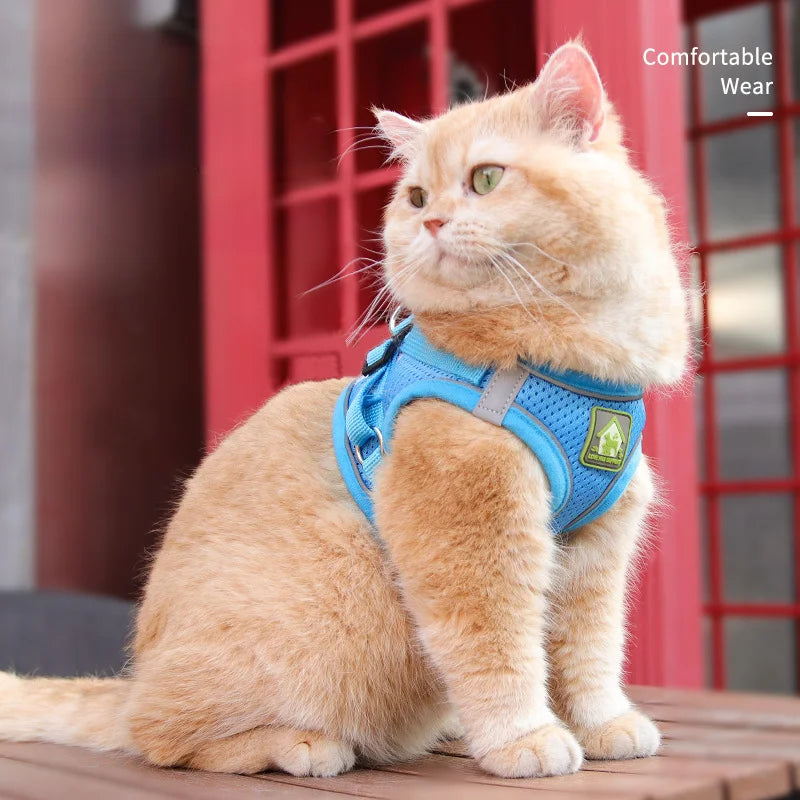 Cat Chest Harness With Leash Reflective Breathable Mesh Chest Strap