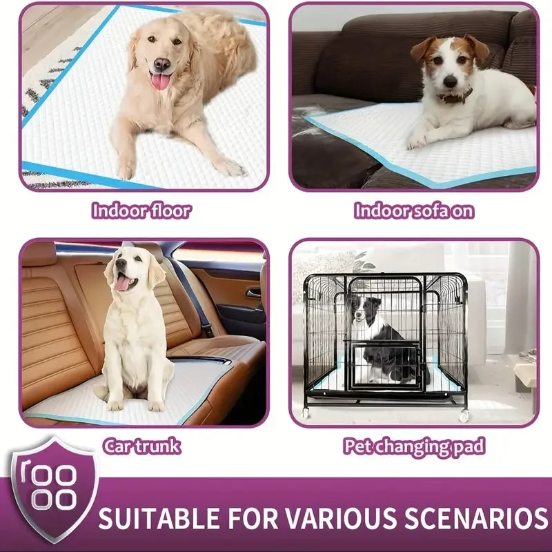NONEDog Litter Premium Disposable Dog Training Pads Superior Absorption