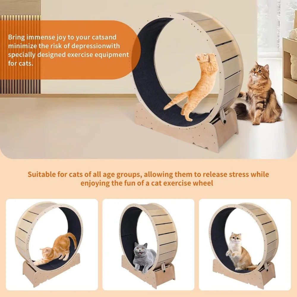 Hign-concerned Chemical Cat Exercise Wheel Indoor Fitness