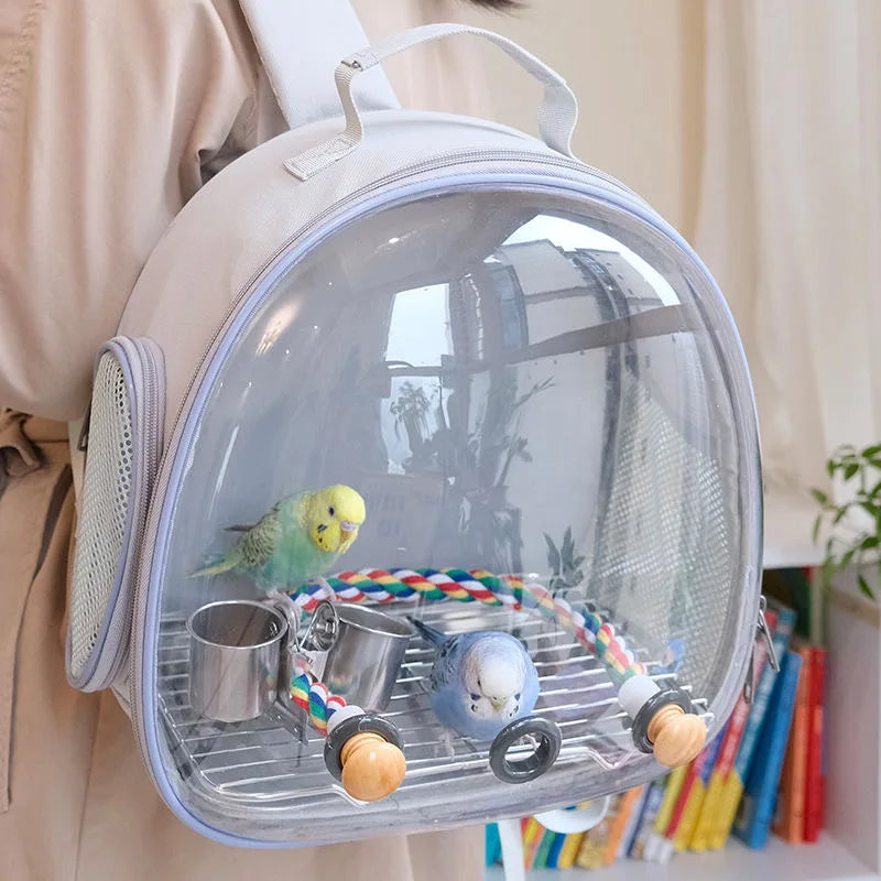 CN Fujian Bird Backpack Carrier For Parrots Acrylic Bubble