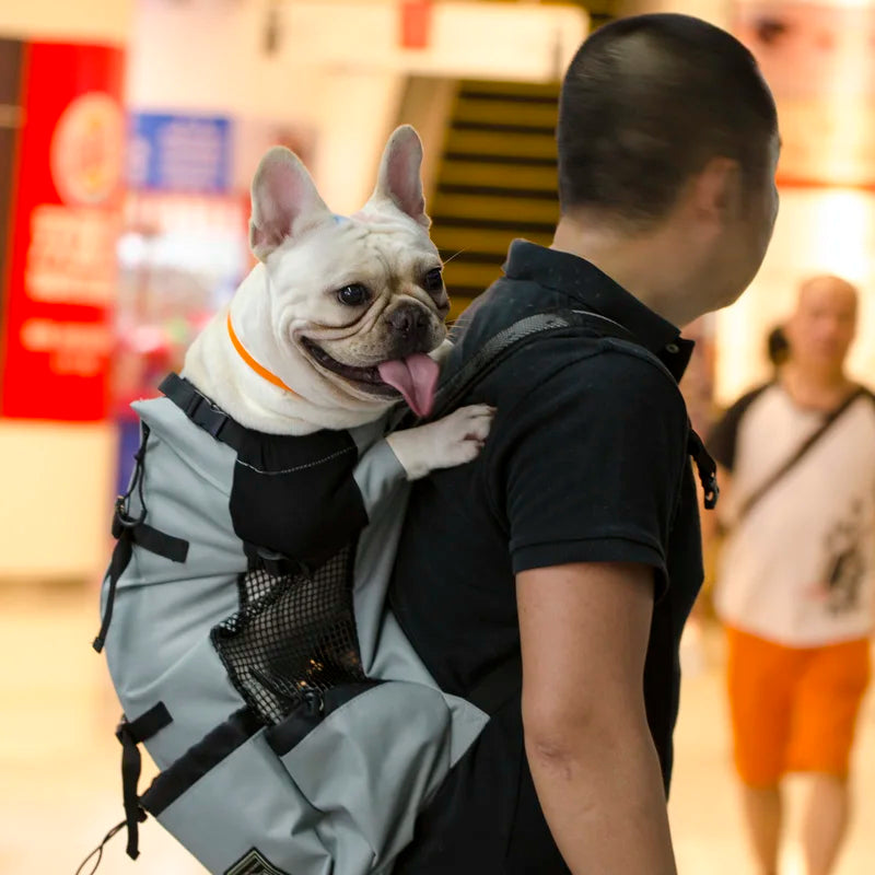 Breathable Pet Dog Carrier Bag Backpack for Travel Comfort
