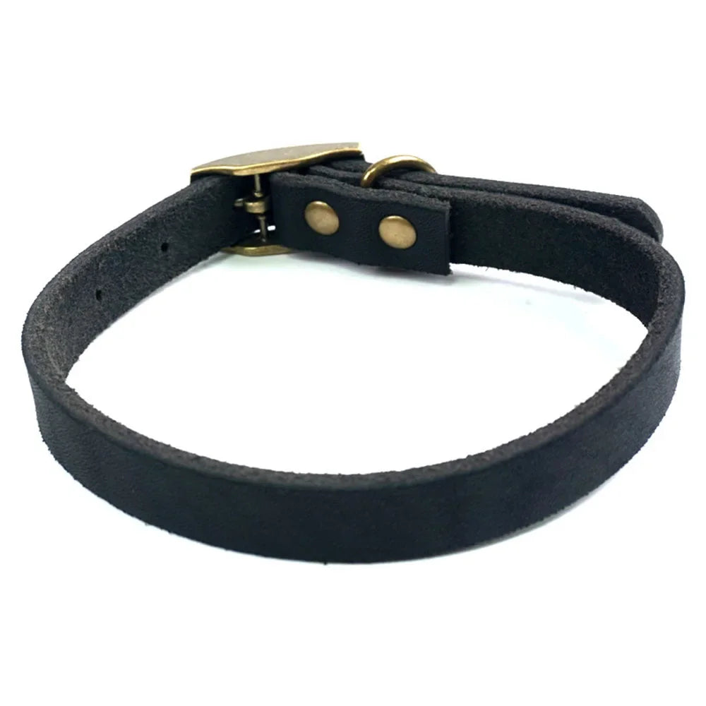 Leather Dog Collar With Heavy Duty Hardware Full Grain Cowhide