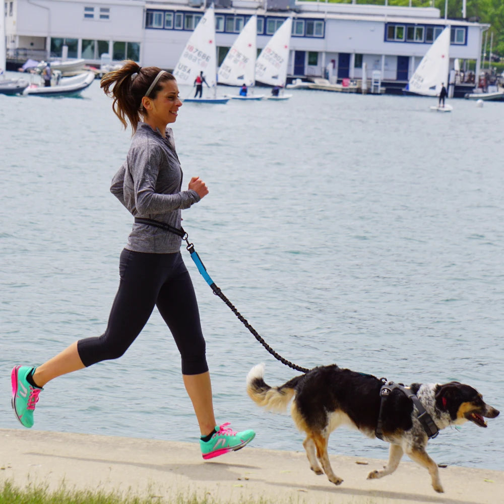 NONECN Hands Free Dog Leash Adjustable Waist Belt Reflective