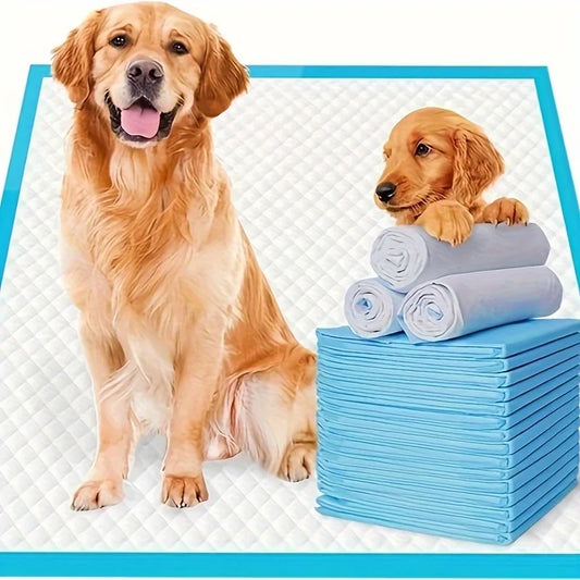 NONEDog Litter Premium Disposable Dog Training Pads Superior Absorption