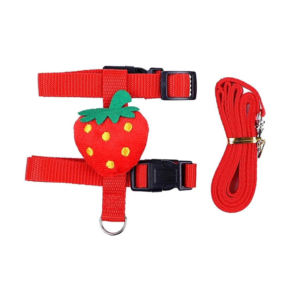 Rabbit Cat Harness And Leash Set For Small Pets Outdoor