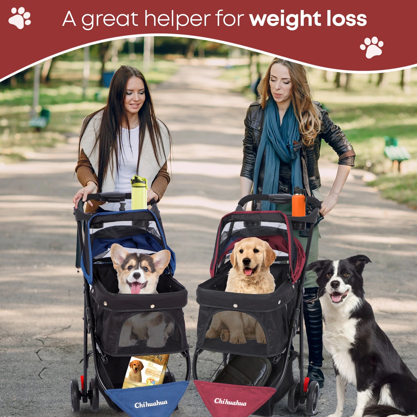 CHIHUAHUA Pet Stroller For Cats And Dogs Foldable Mesh Canopy