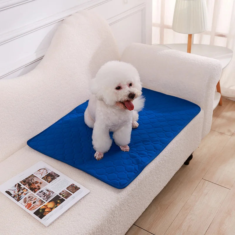 NONECN Washable Dog Pee Pad Blanket Diaper Mat For Training