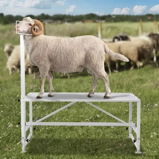 Sheep Lambs Goats Metal Livestock Milking Trimming Stand