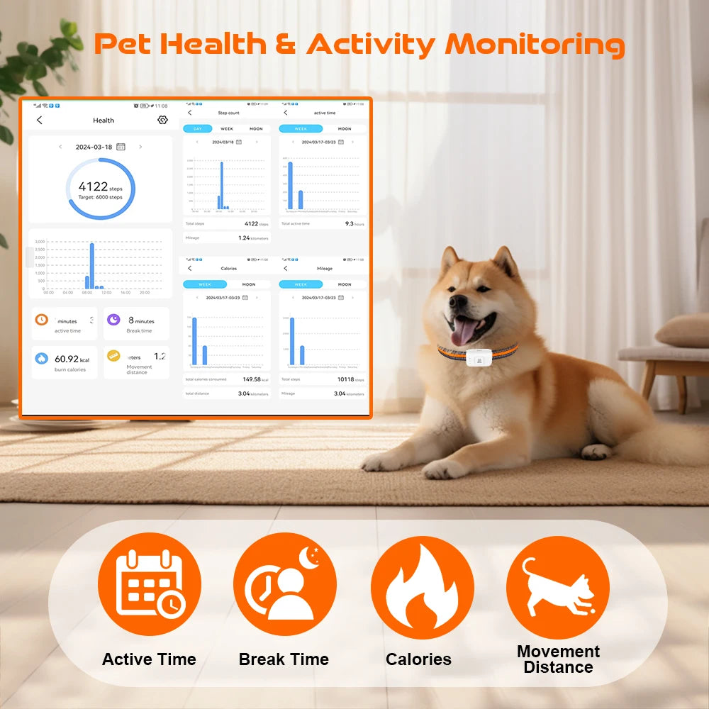4G Dog GPS Tracker Smart Collar With Geo Fence Included