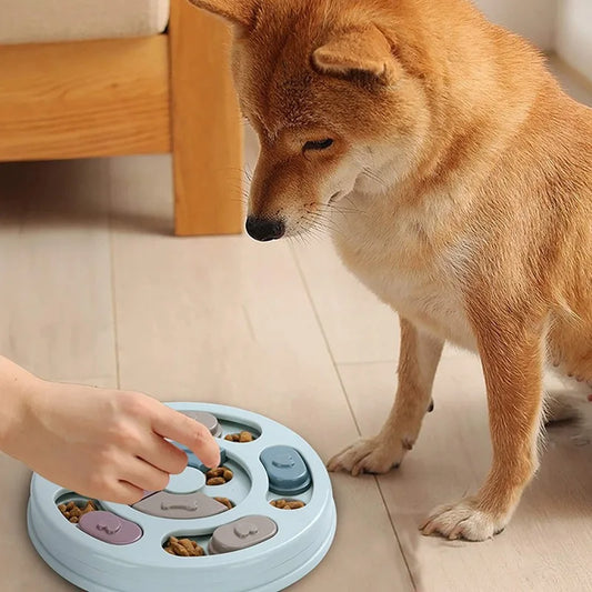 Dog Slow Feeder Hiding Bowl Educational Toy For Interactive Feeding