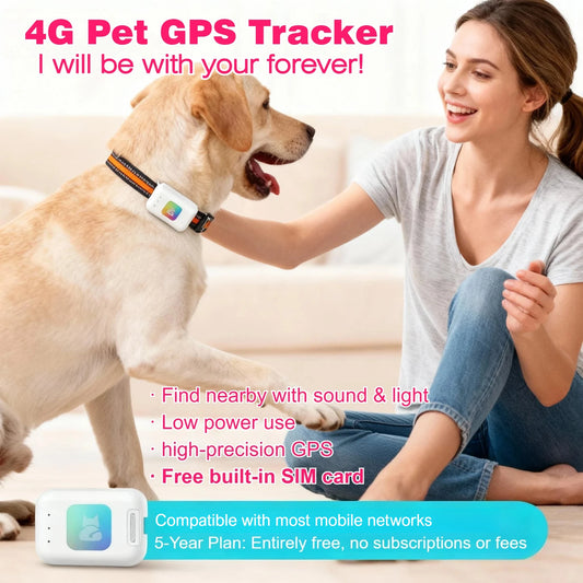 4G Dog GPS Tracker Smart Collar With Geo Fence Included