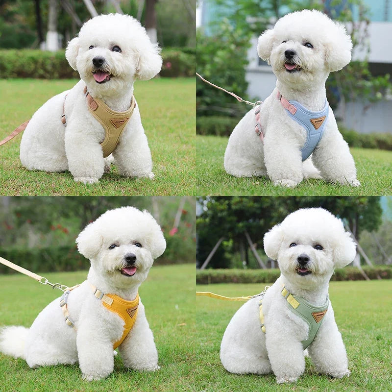 Puppy Harness And Leash Set Breathable Pet Chest Vest