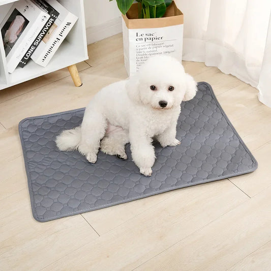NONECN Washable Dog Pee Pad Blanket Diaper Mat For Training