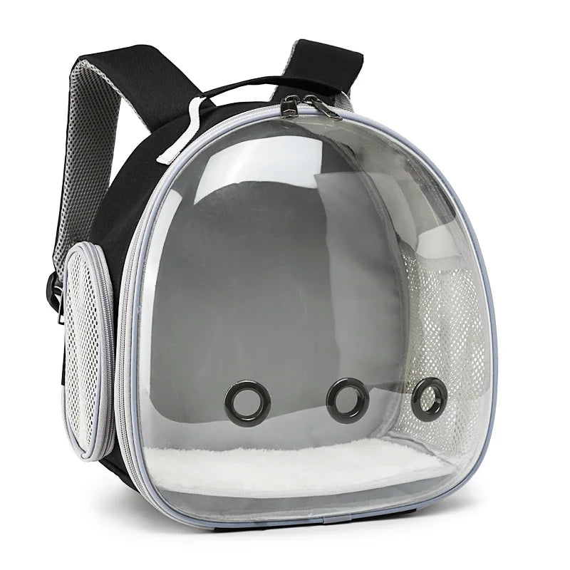 CN Fujian Bird Backpack Carrier For Parrots Acrylic Bubble