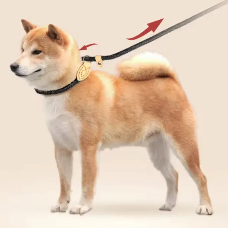 NONECN Adjustable Nylon Collar Harness Leash For Dogs And Cats