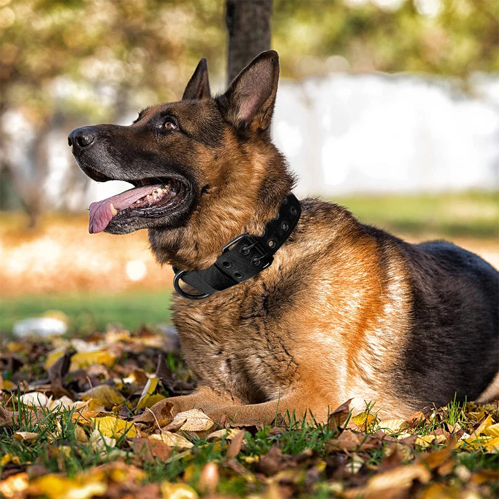 Durable Nylon Military Tactical Dog Collar For Training