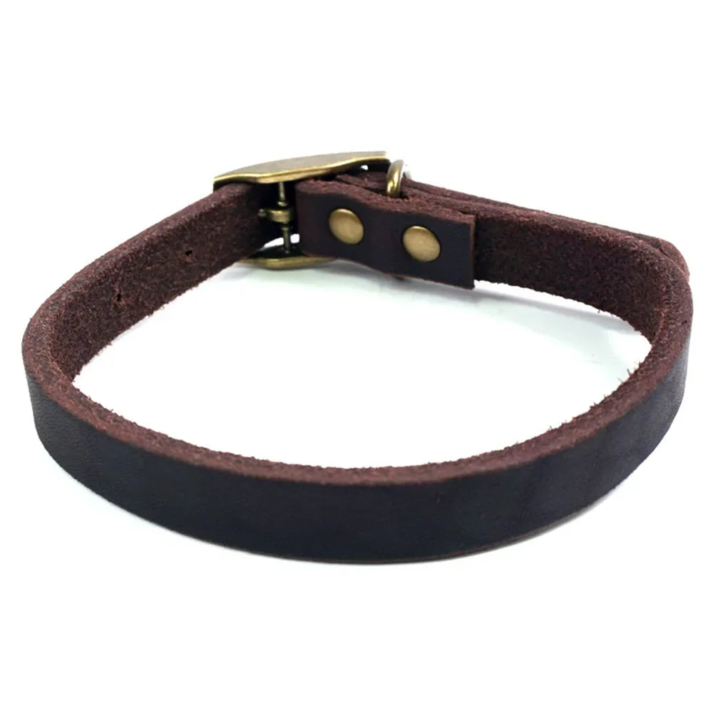 Leather Dog Collar With Heavy Duty Hardware Full Grain Cowhide