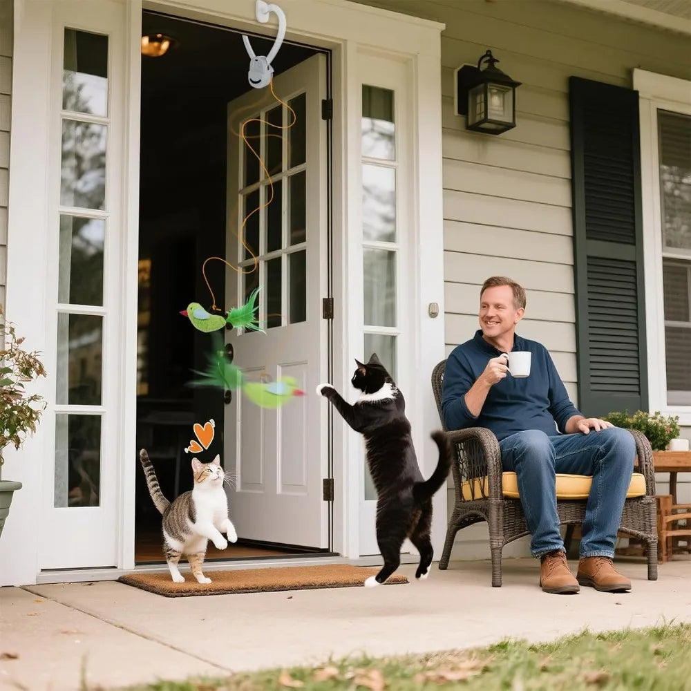 Hign Concerned Interactive Cat Toy Automatic Feather Wand