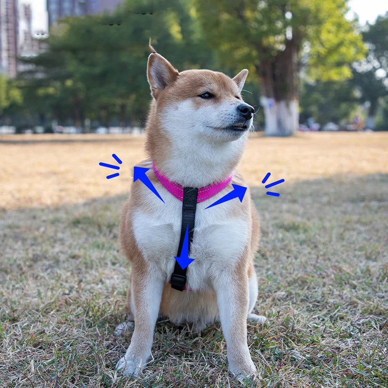 MeowVista Reflective H-Shaped Dog Harness Nylon Chest Strap