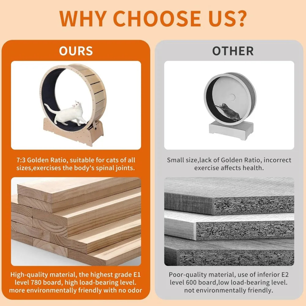 Hign-concerned Chemical Cat Exercise Wheel Indoor Fitness