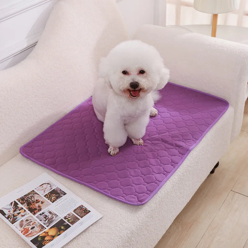 NONECN Washable Dog Pee Pad Blanket Diaper Mat For Training