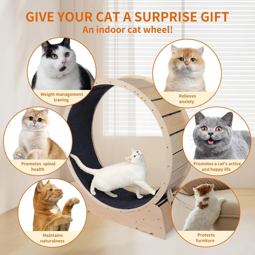 Hign-concerned Chemical Cat Exercise Wheel Indoor Fitness