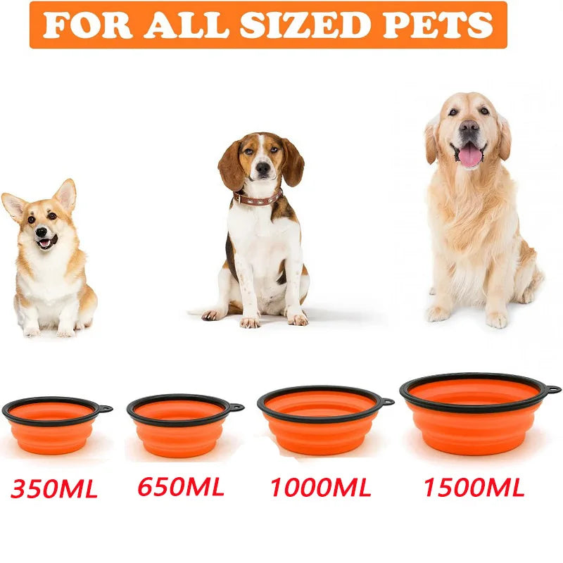 Folding Silicone Dog Feeder Bowl 2 In 1 Travel Dispenser