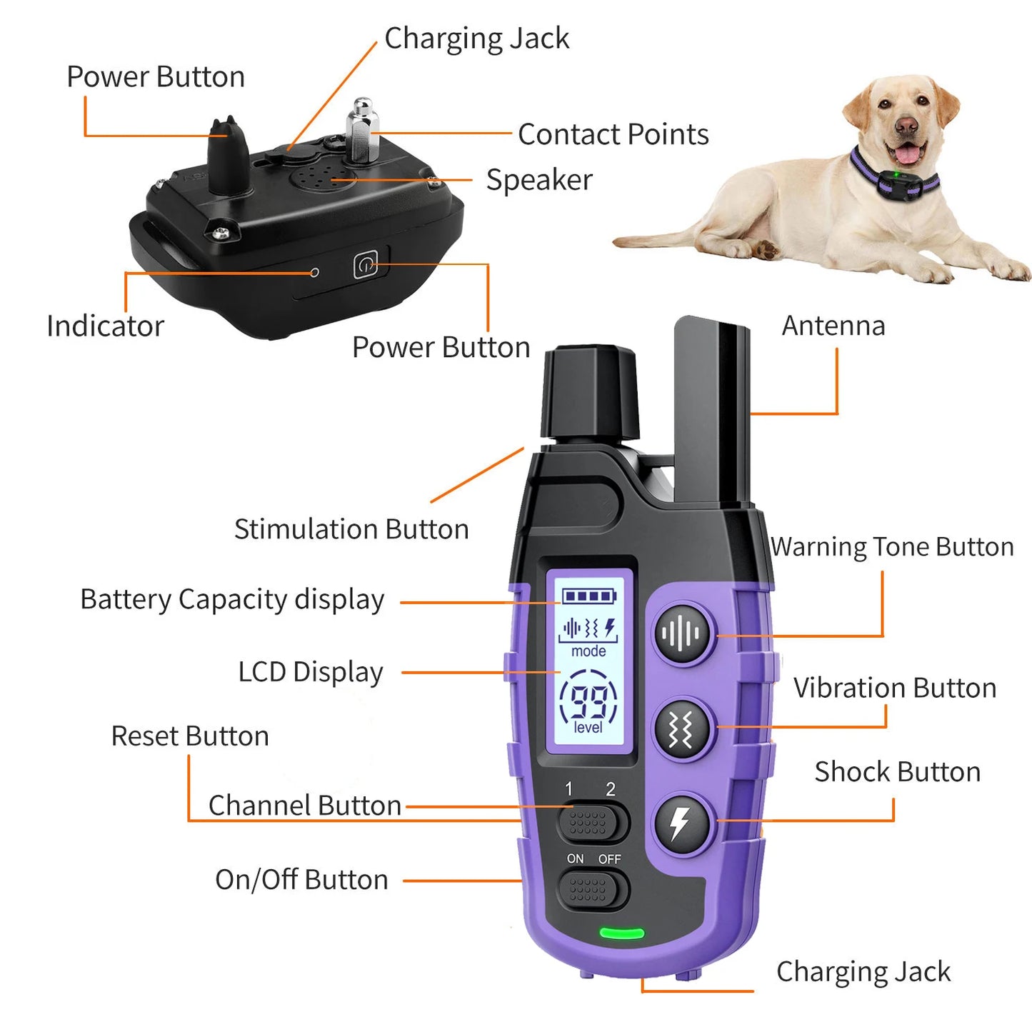 WXRPET Electric Dog Training Collar Remote Control Waterproof Vibration Beep