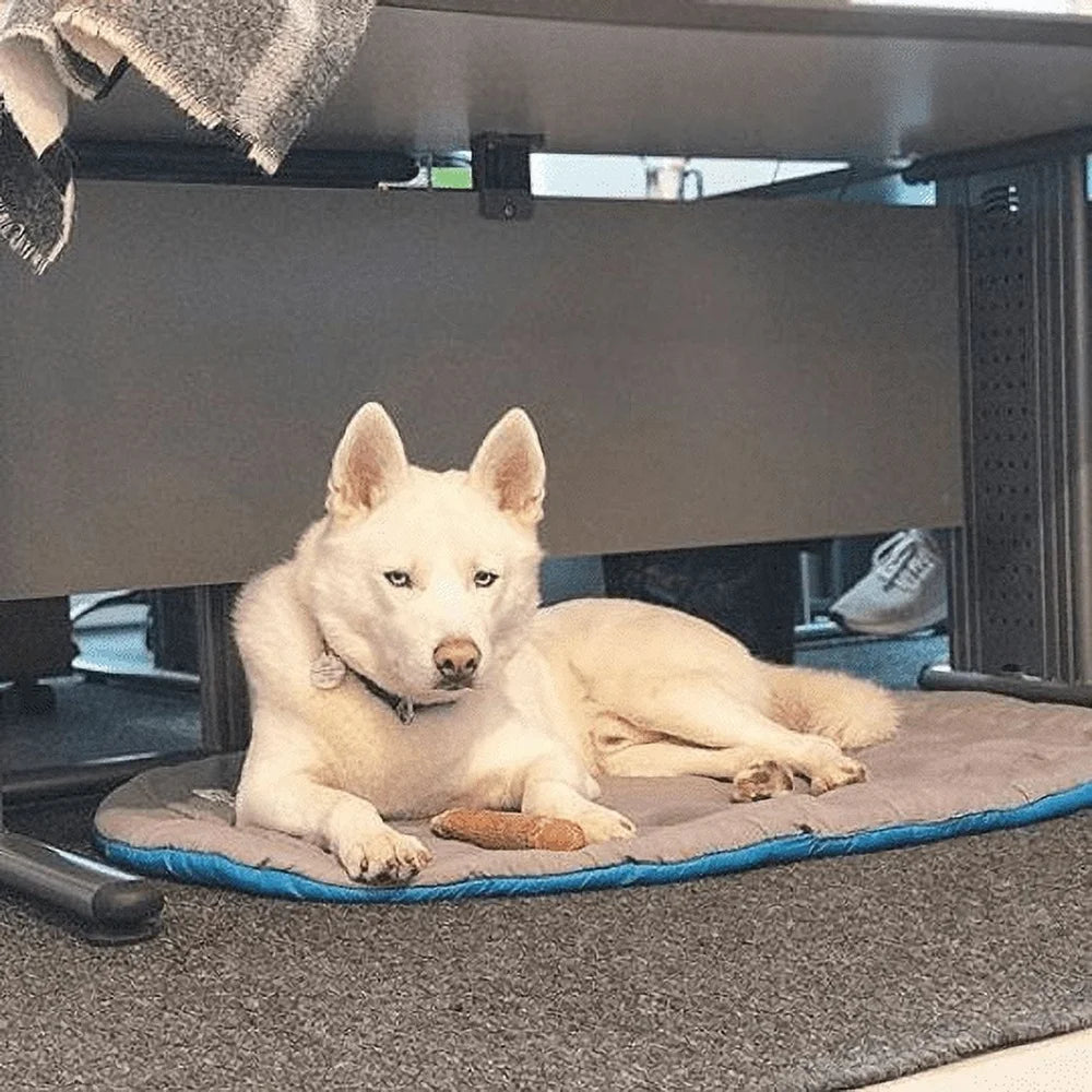 DUTRIEUX Travel Pet Bed Water Resistant Lightweight Dog Bed