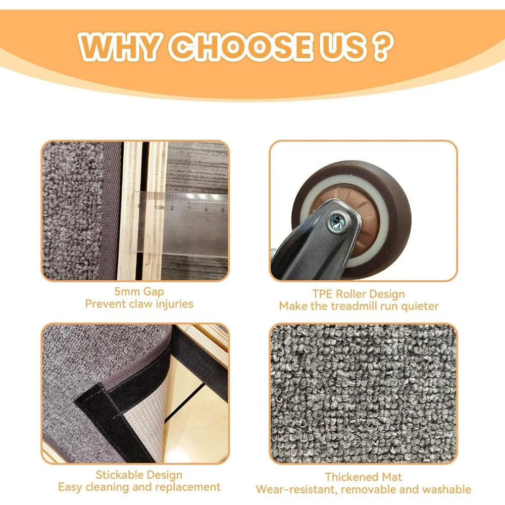 Homegroove Indoor Cat Wheel Treadmill With Carpeted Runway