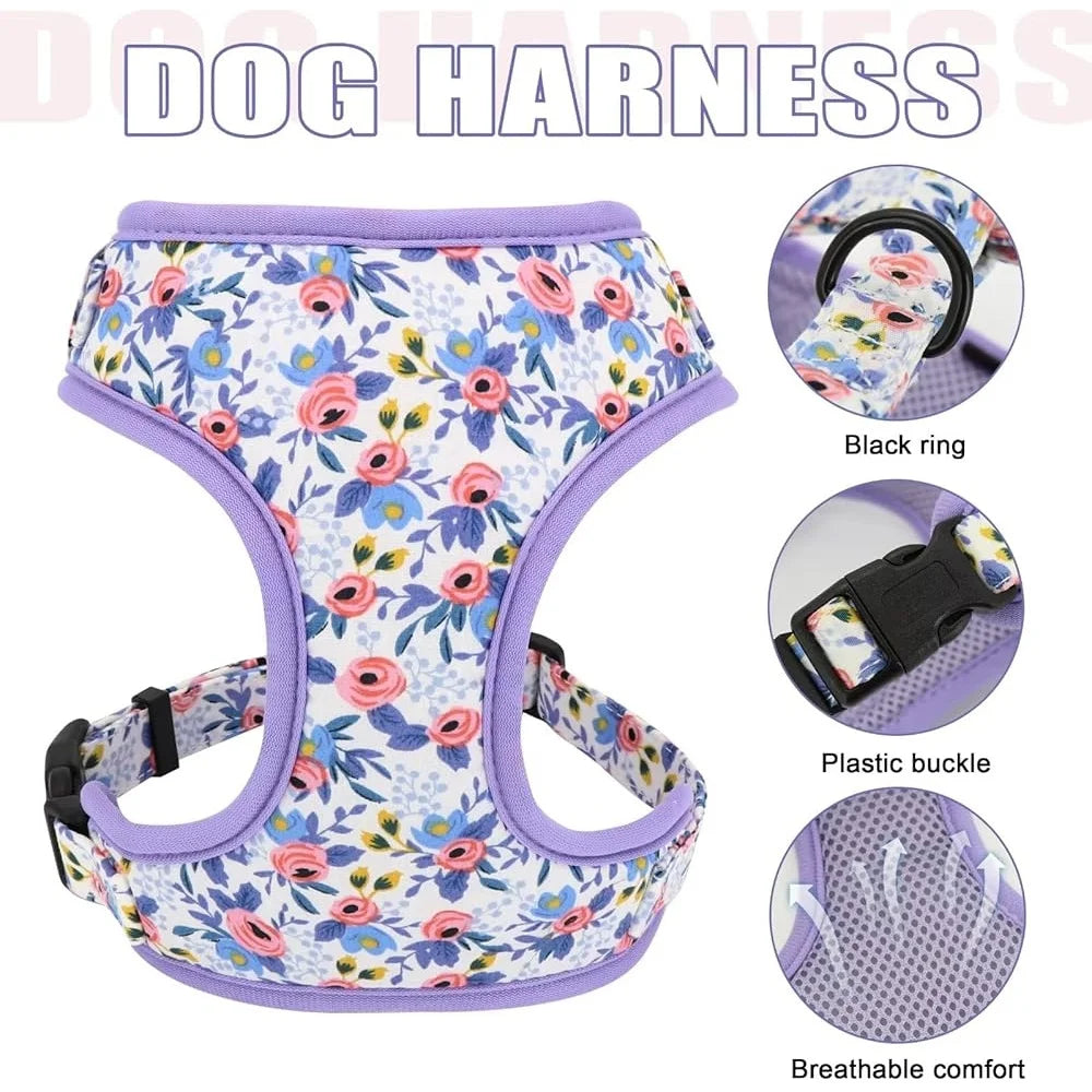 CN Fujian Dog Harness Leash Collar Set Floral Mesh Vest