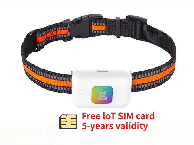4G Dog GPS Tracker Smart Collar With Geo Fence Included