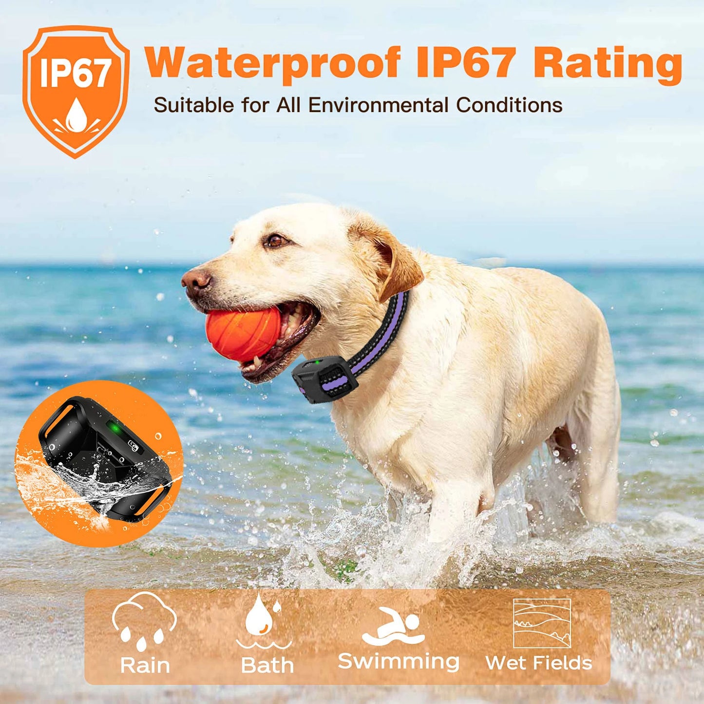 WXRPET Electric Dog Training Collar Remote Control Waterproof Vibration Beep
