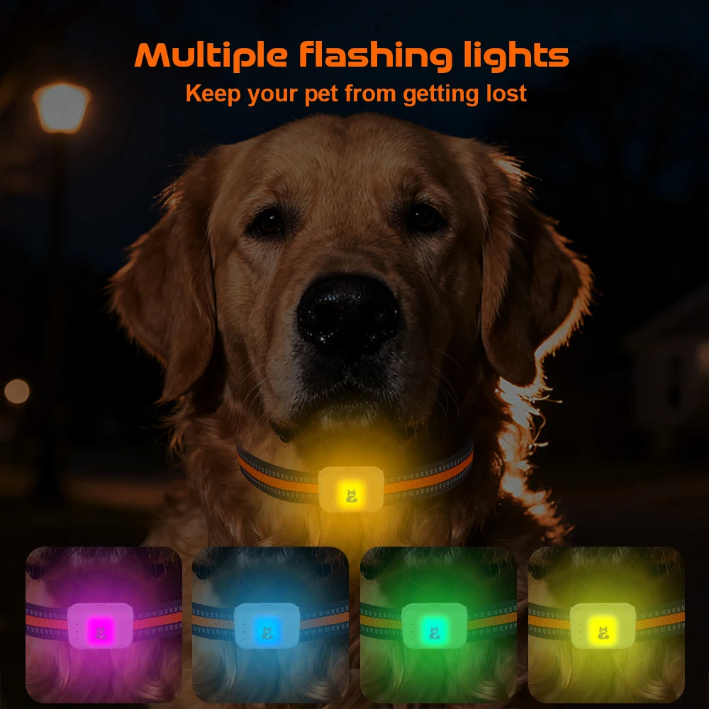 4G Dog GPS Tracker Smart Collar With Geo Fence Included