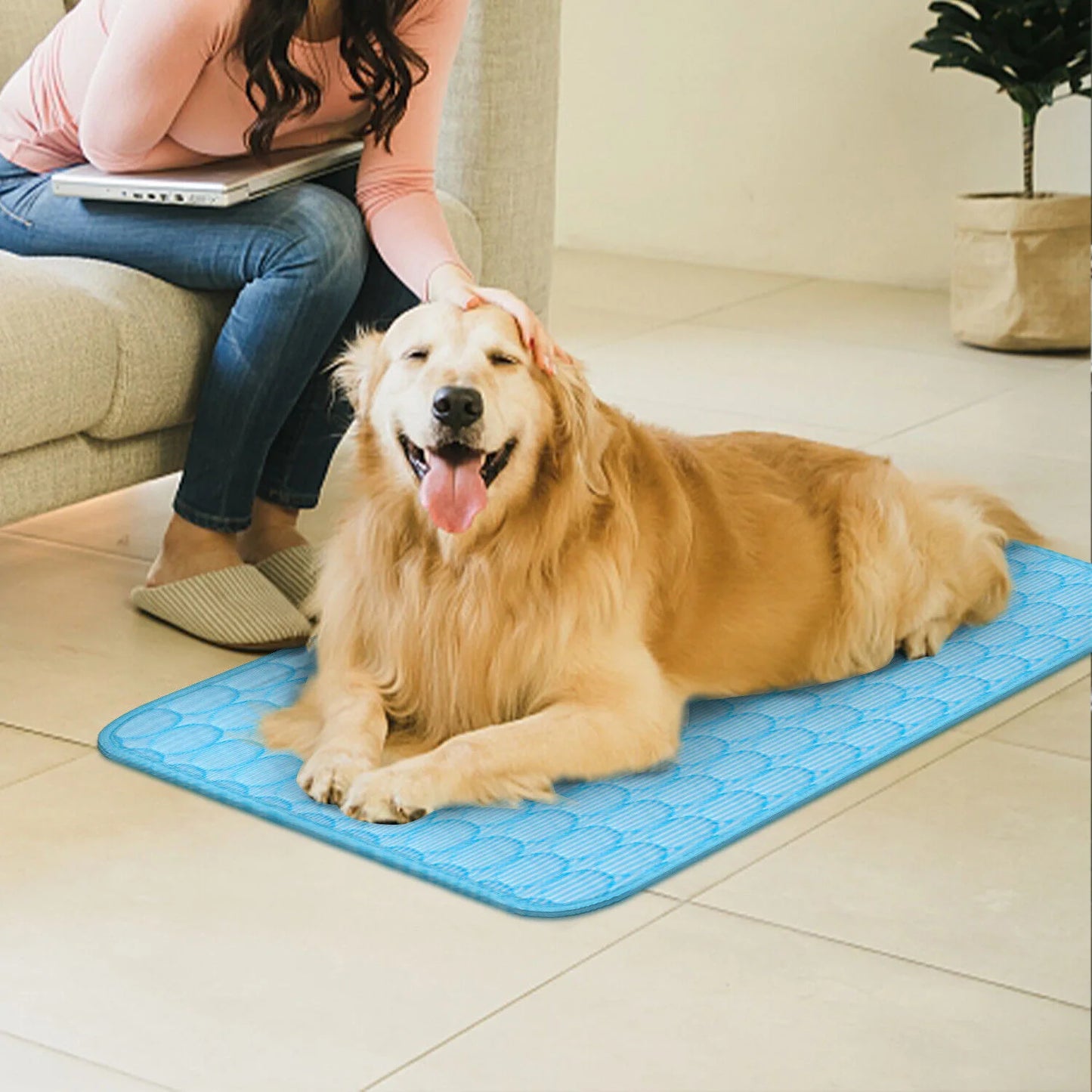 Zhejiang Pet Cooling Mat Cushion For Summer Sleeping Bed