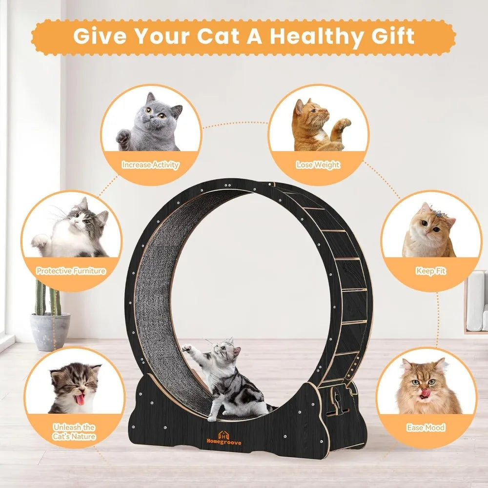 Homegroove Indoor Cat Wheel Treadmill With Carpeted Runway
