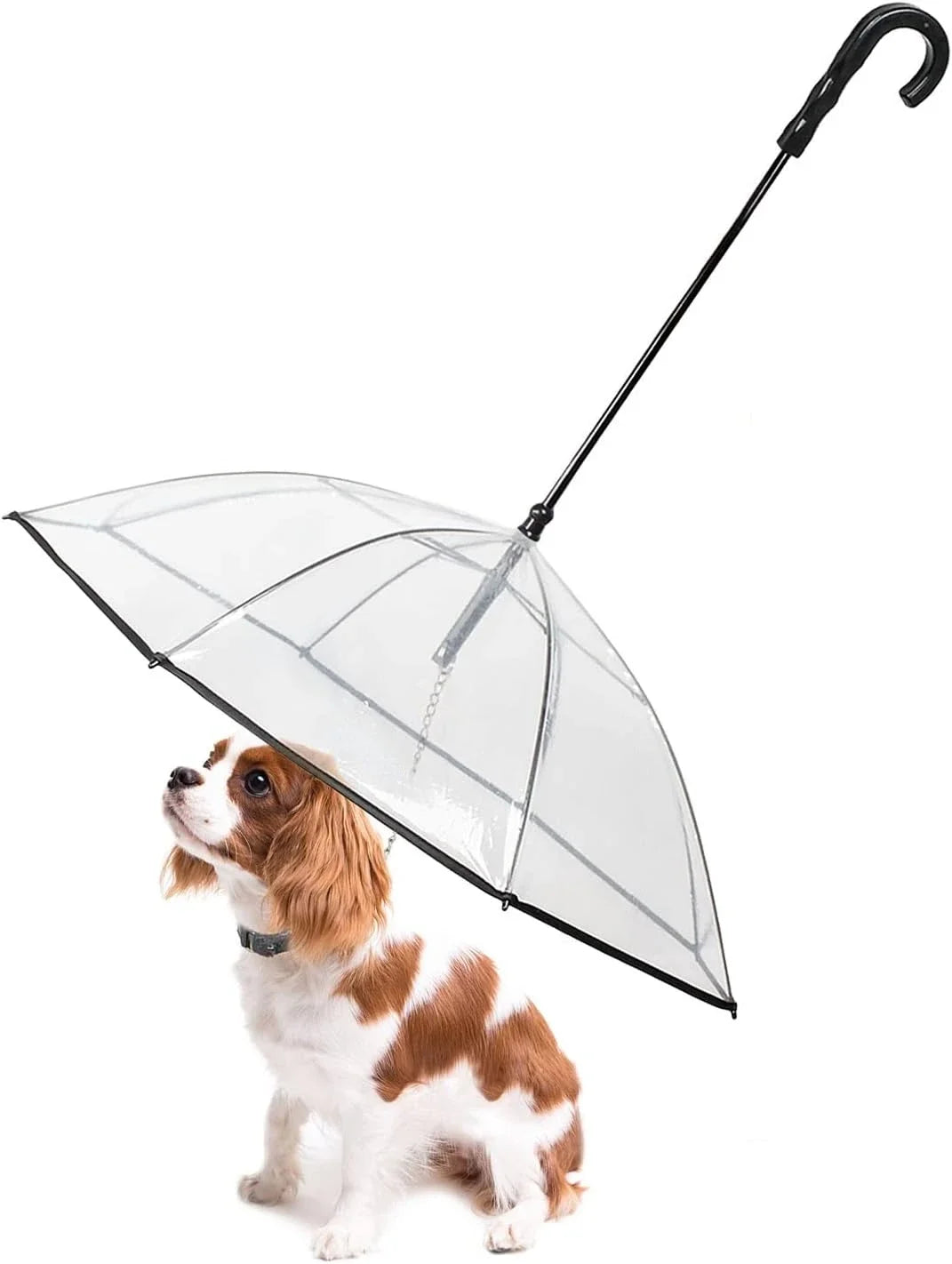 ATUBAN Dog Umbrella With Leash For Small Pets Rain Gear