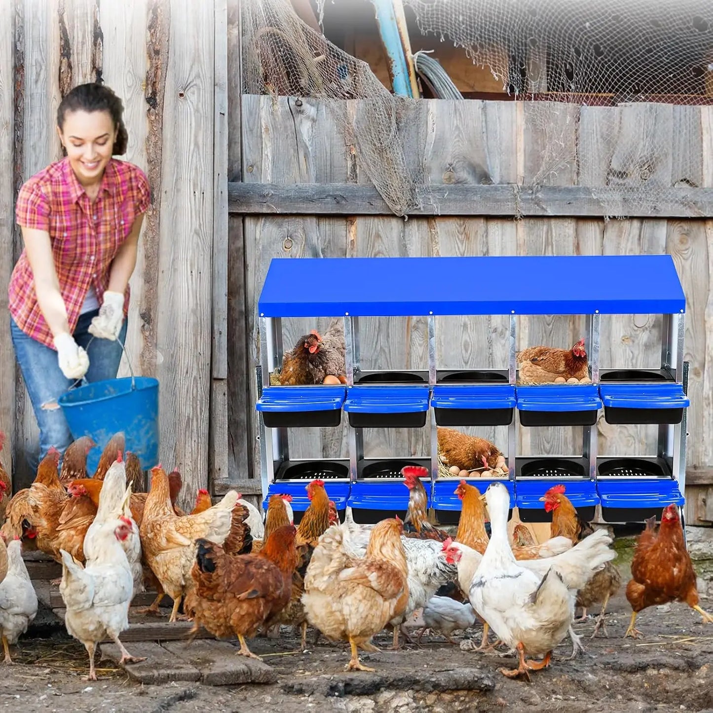 HiMISS 2 Tier Heavy Duty Metal Chicken Nesting Box Compartments