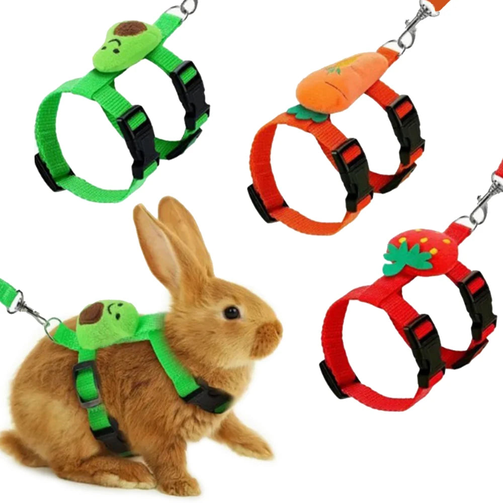Rabbit Cat Harness And Leash Set For Small Pets Outdoor